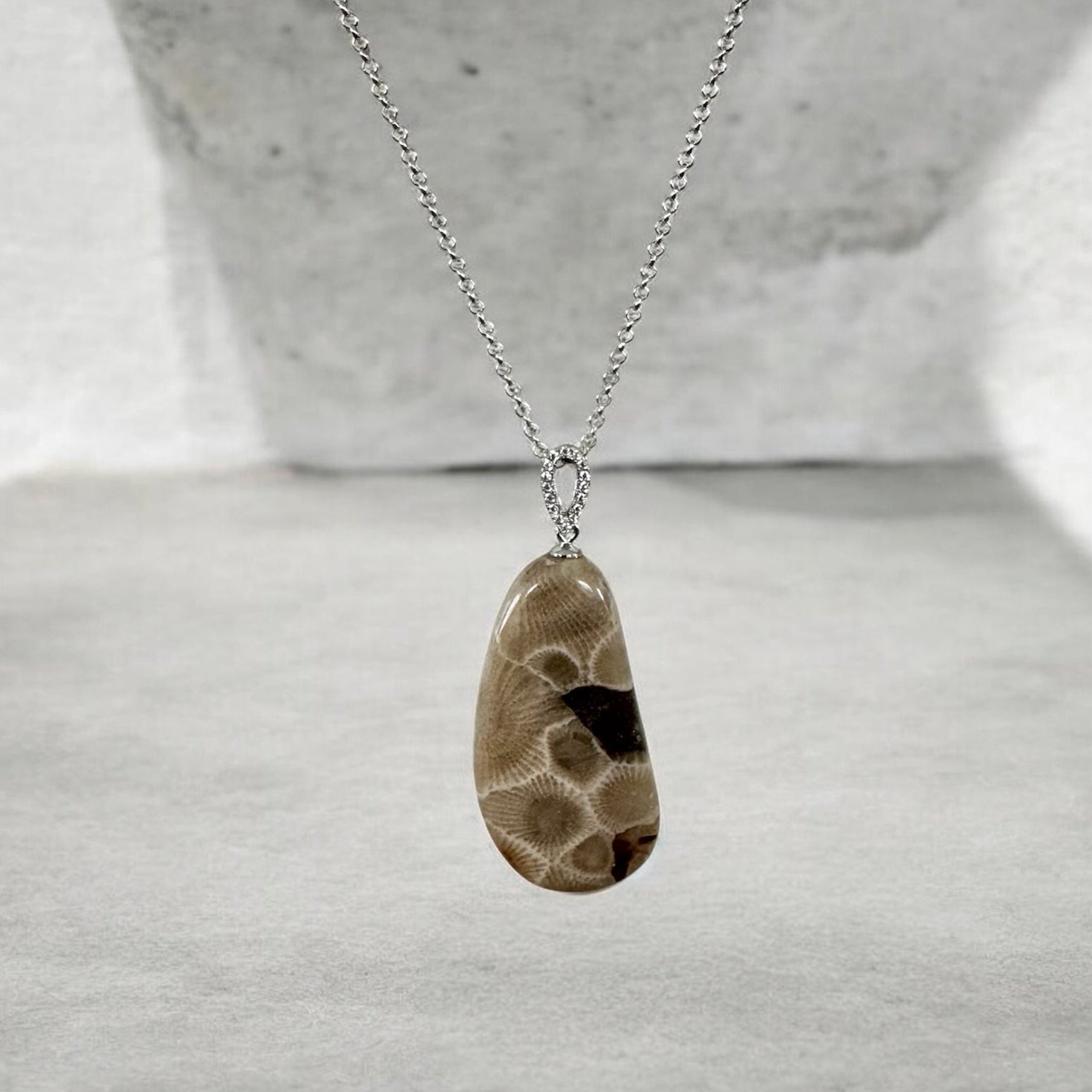 Petoskey stone necklace on a neutral background